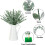 36 zwarte kunstmatige eucalyptusstelen van 38 cm 3
