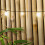 Κουρτίνα ντους Bamboo Zen 72x72in με γάντζους 5
