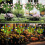 Solar Gardenia Lights 2 Pack – 11-Flower LED Stake 4