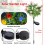 Solar Gardenia Lights 2 Pack – 11-Flower LED Stake 5