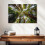 Arte em tela Muir Wood California Redwoods 24x16 polegadas 2