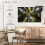 Arte em tela Muir Wood California Redwoods 24x16 polegadas 4