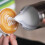 Pichet à mousser le lait en acier inoxydable 500 ml 5