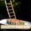 Bambus-Sashimi-Teller-Leiter-Dekoration 4