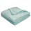 Skin-Friendly Microfiber Quilt for Queen Bed, Coin Pattern 2