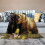 Brown Bear Blanket Flannel 150x200cm 3