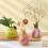 Beautiful Fruit Themed Ceramics Vases With Double-pitaya 6