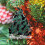 Black Cat Acrylic Christmas Ornament, 2-Sided, 1 Pack 4