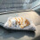Mini Sleeping Cat Toy with Meow Sound, Soft Plush 2