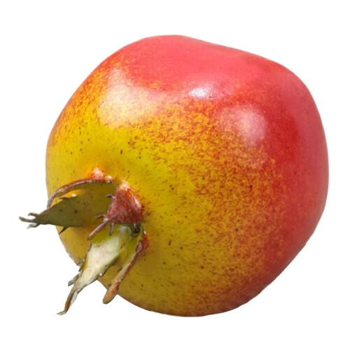 Frutta artificiale come accessorio per fotografia e decorazioni per la casa (5 pezzi) 2