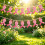 30PCS Customizable Breast Cancers Banners Set With Pre Attached 4