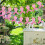 30PCS Customizable Breast Cancers Banners Set With Pre Attached 6