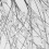 Silver Firework Crystal Chandelier 6-Bulb 60cm 5