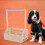 Wooden Dog Closet Organizer Khaki for Small Storage 3