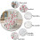 Personalisierte Flanell-Babydecke 4
