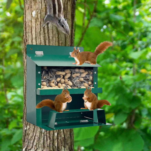 Powerful Outdoor mouse Feeding Device Including Spacious Chamber 1