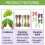 Creative Grape Soap Making Package With Flexible Frame-green 2