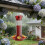 Large Capacity Clear Bird Feeder Feeding Station With-1 7