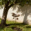 Decorative Iron Bird Bath With Spacious 32 Inch Bowl Great For 2