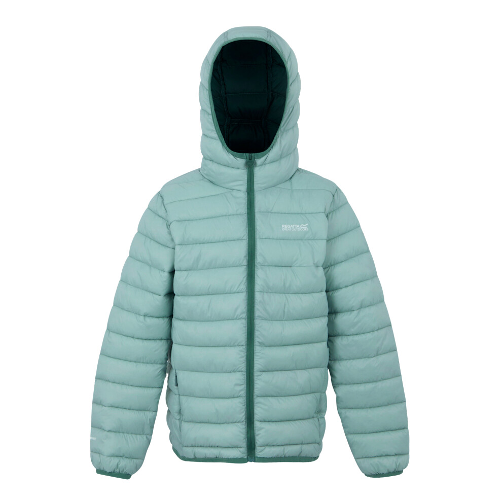Regatta (7-8 Years, Haze/Spruce ) Childrens/Kids Marizion Hooded Padded Jacket Green