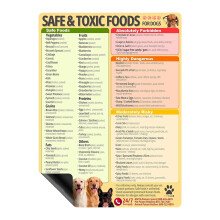 Informative Magnetic Pet Care Guides Illustrating Safe Food