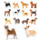 Pack Of 14 Realistic Solid Plastic Mini Dog Figurines For Home 1