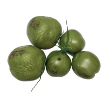 Modèle de noix de coco artificielles aux couleurs vives,-5 têtes