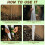 5Pcs Tree Seedling Sapling Grow Tube Standard Vented- 48in 6