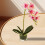 Artificial Orchid Bonsai in Glass Vase 5