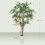 Homcom Ficus Artificial Verde 65 x 65 x 150 cm 6