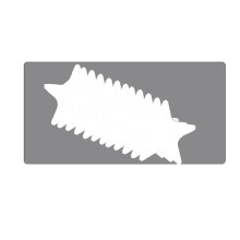 Anti Slip Shower Sticker Shower Sticker for-Clear 12 pieces