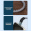 1 to 2 USB C Charging Cable PD100W Fast Charge With Data 4