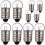10 Pack E10 Screw Light Bulbs for Educational Circuits 3