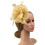 Γυναικείο μαύρο καπέλο Fascinator με πέπλο και φτερά 2