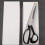 Robuste Schneiderschere mit Etui  10 Zoll 5