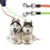3M/10KG Dog Lead Leash Double Retractable Leash Extendables Lockable 6
