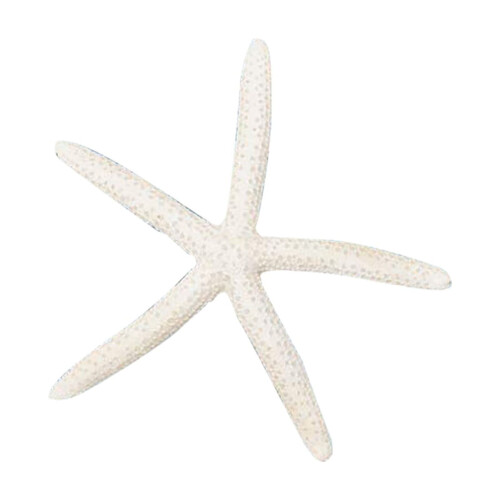 Witte hars zeesterversiering 10 cm voor aquarium en strand 1
