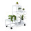 Plantställning 4 hyllor 1