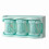 Three-Grid Blue Plastic Spice Organizer for Kitchen Storage and Organization 1