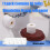 Doll House Miniature Toliet Tissue with Simulation Detail 6