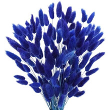 Természetes nyuszifarok szárított virágok45cm50db