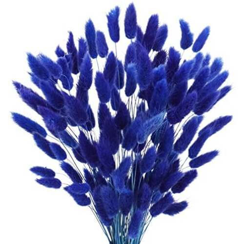 Queues de lapin naturelles séchées, 45 cm, 50 pièces