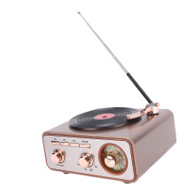AM/FM/SW-Radio Bluetooth-Lautsprecher Silber 1200 mAh