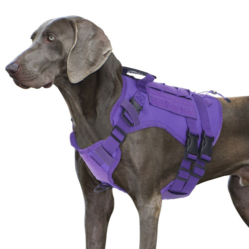 Dog Adjustable Training Vest Harness Padded Belt-Purple M 2