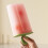 Creative DIY Ice Cream Mould Set 6 Pocket Great For-Beige 3