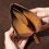 Simple Coin Purse Foldable Wallet Practical Design For-coffee 3