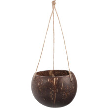 Hanging Coconut Shell Planter Pot Rope Decorative Basket for Plants Space-Saving Home
