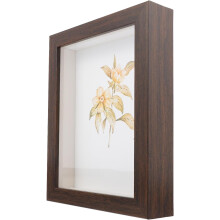 10 Inch Shadow Box Display Case for Dried Flowers and Memorabilia, Composite Material