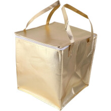 Isolierte, tragbare Kühltasche, 10 Zoll, wasserdicht, goldlaserlaminiert, Vliesstoff, Thermotasche mit Reißverschluss