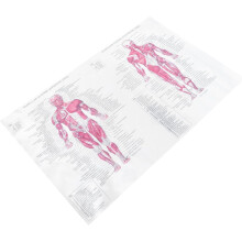Poster mit menschlicher Anatomie, Skelettposter für Bildungszwecke, Wanddekoration, Partydekoration
